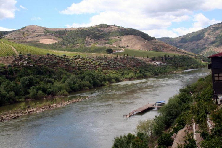Standard Double room with river view