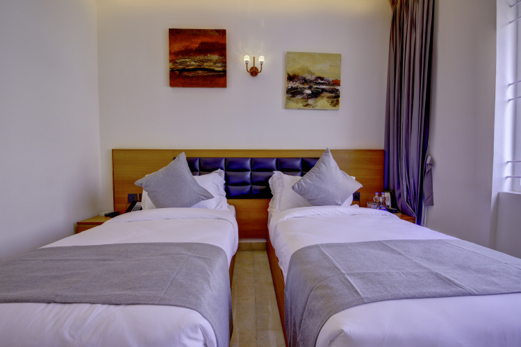 Deluxe Twin room