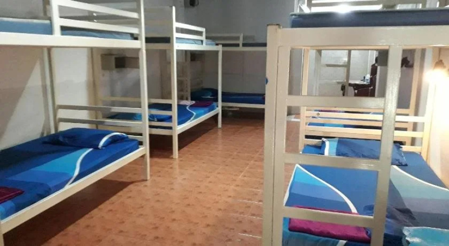 Hangover Hostel