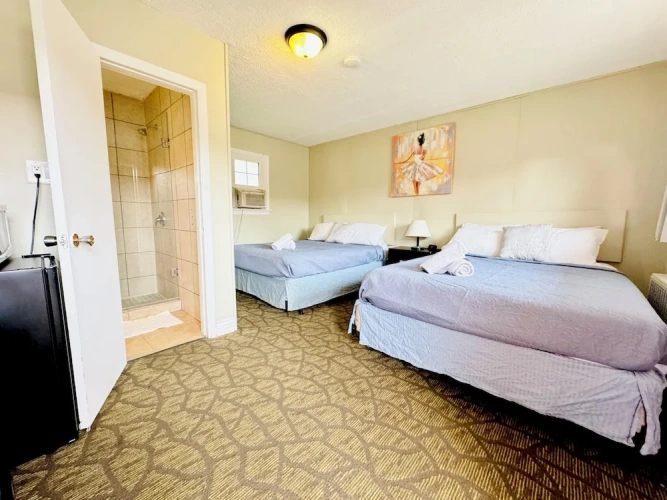 Standard Quadruple Basement room