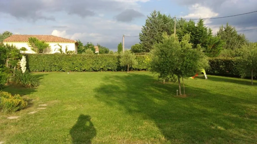Standard Double room with garden view
