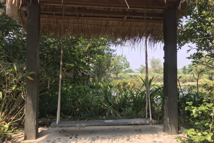 Bueng Pai Farm