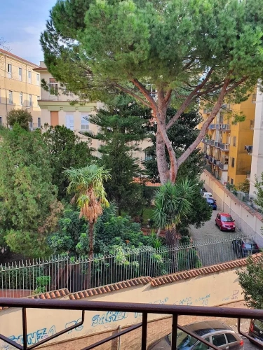 Deluxe Apartment with balcony