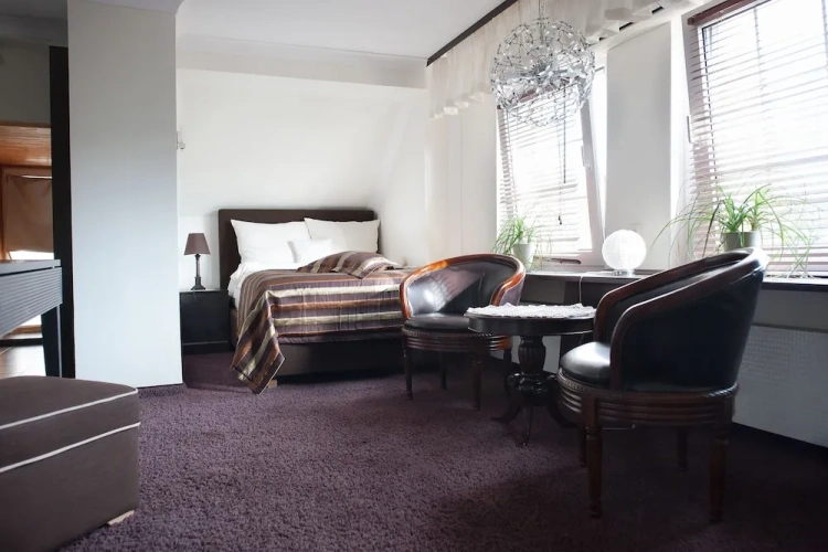 Business Double room with garden view