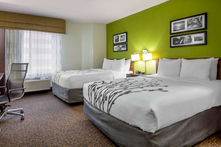 Standard Quadruple room