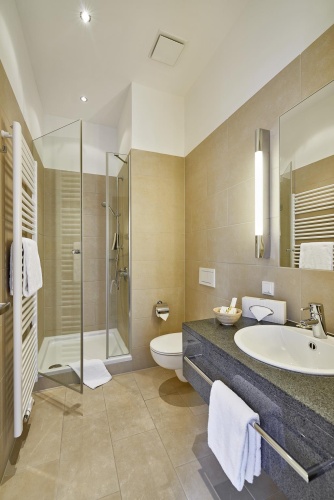 Superior Single room