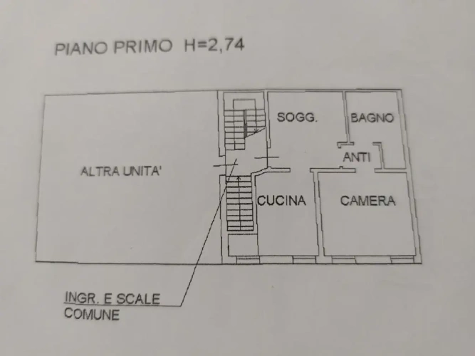 1 Bedroom Apartment