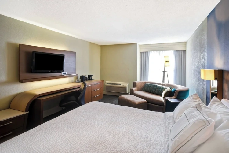 Standard Double room with balcony and oceanfront