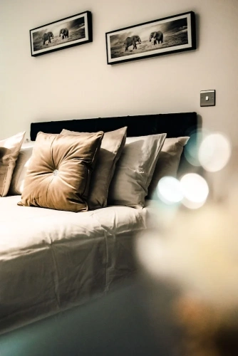 Comfort Apartment