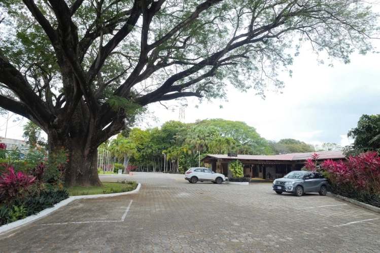 Outside