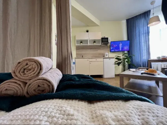 Фотография номера квартиры Диван и чемодан на Ватутина