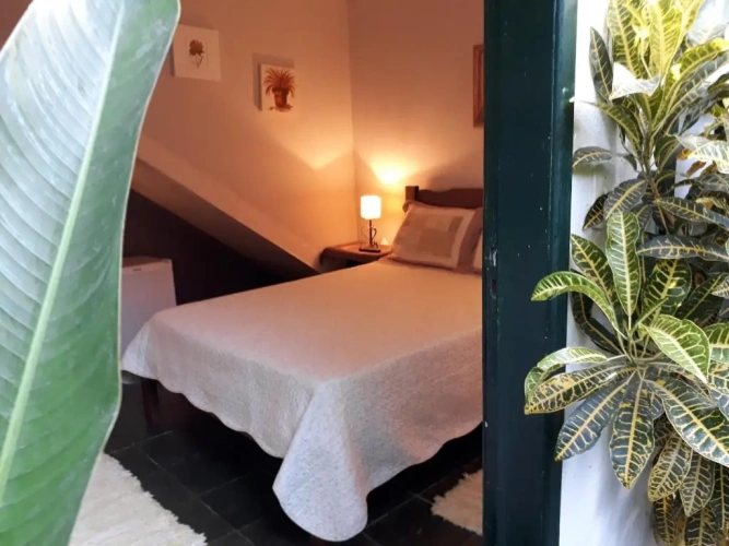 Economy Double room with balcony and with view