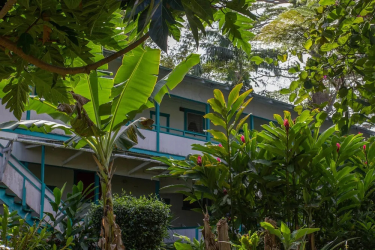 Wild Ginger Inn Bed and Breakfast