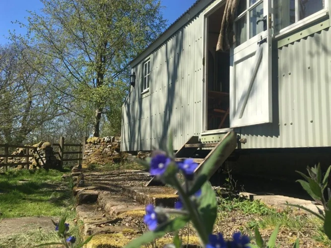 Standard room with land view