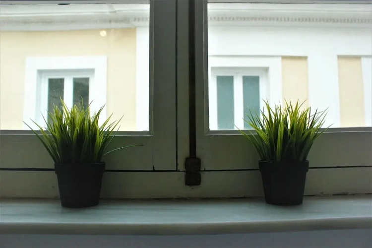 Premium Apartment