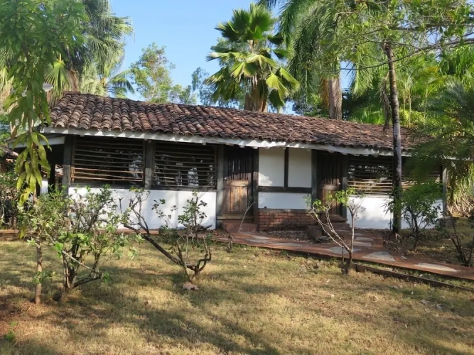 Deluxe Double room with garden view