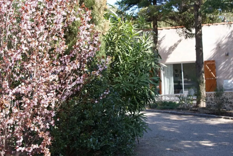 Villa Ariana - Gite