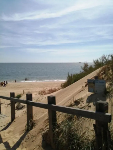 Le Soleil et la Mer