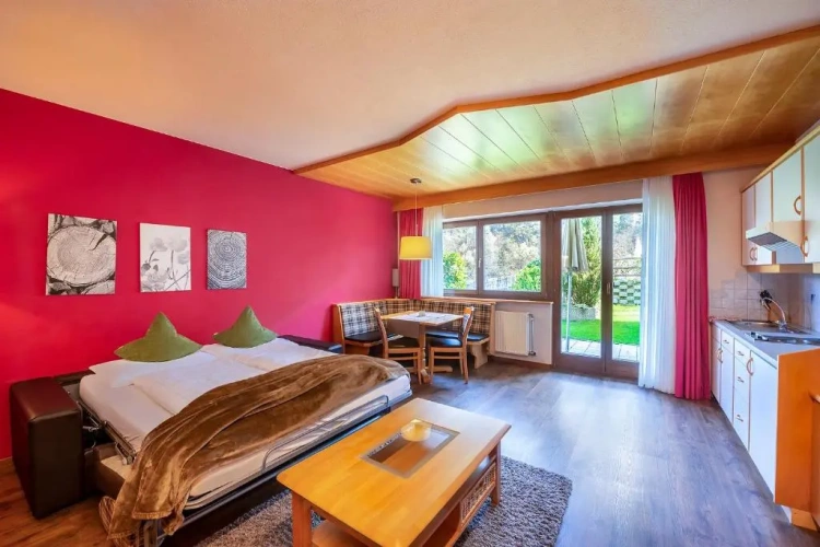 1 Bedroom Apartment