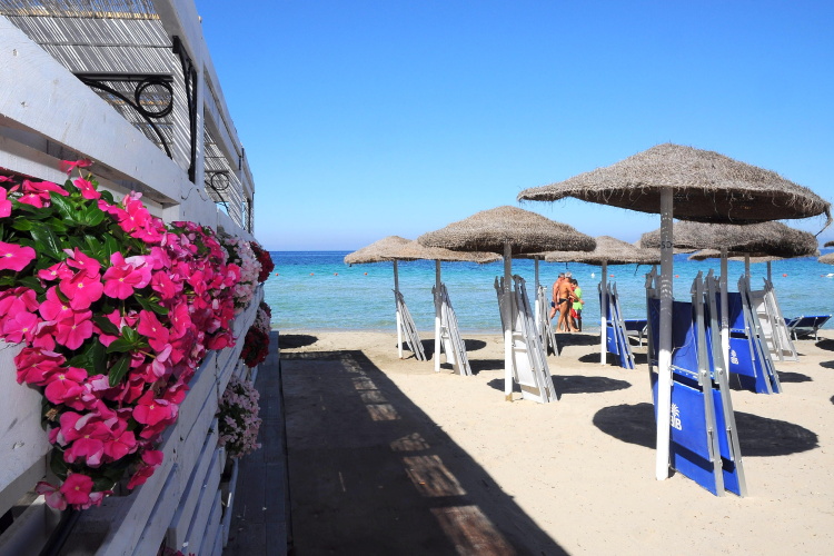 Delfino Beach photo 27