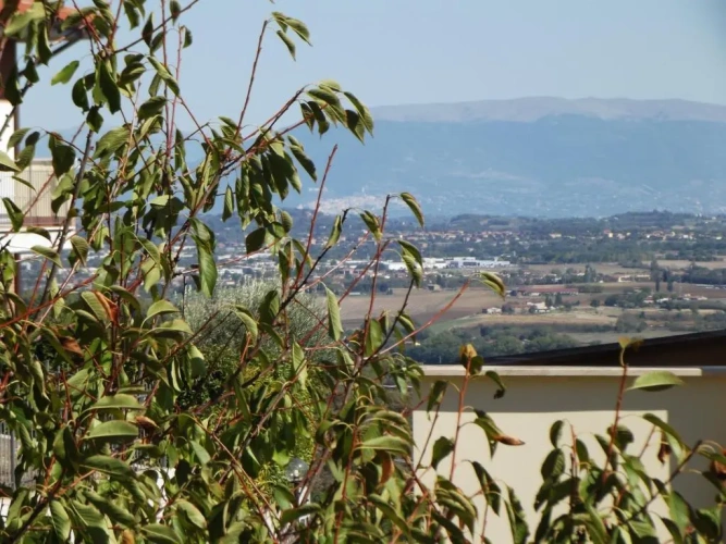 3 Bedrooms Apartment with balcony and with view