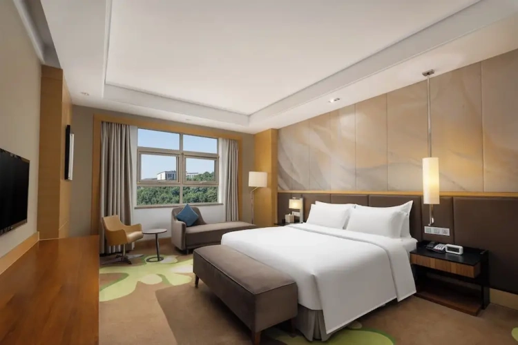 Deluxe Single room