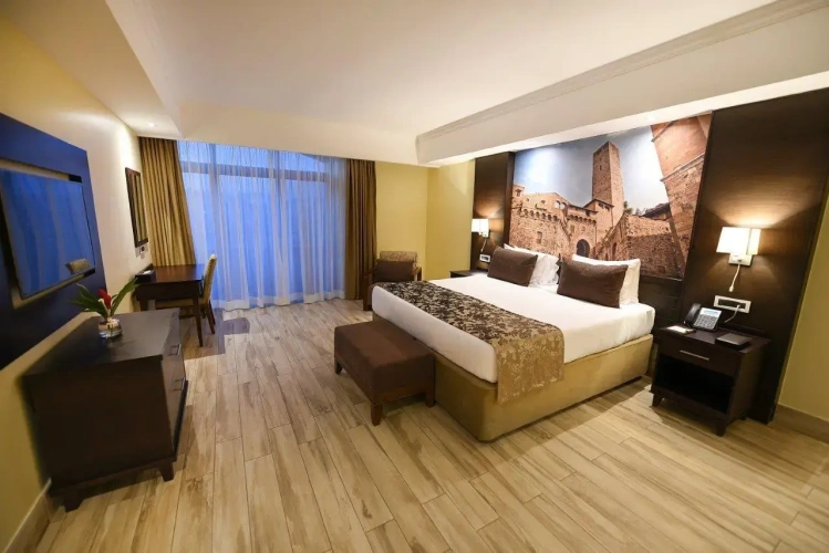 1 Bedroom Suite