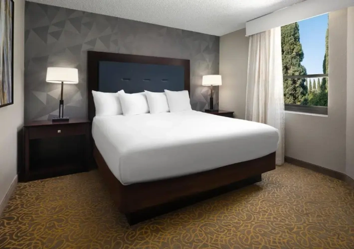 Deluxe Double Suite