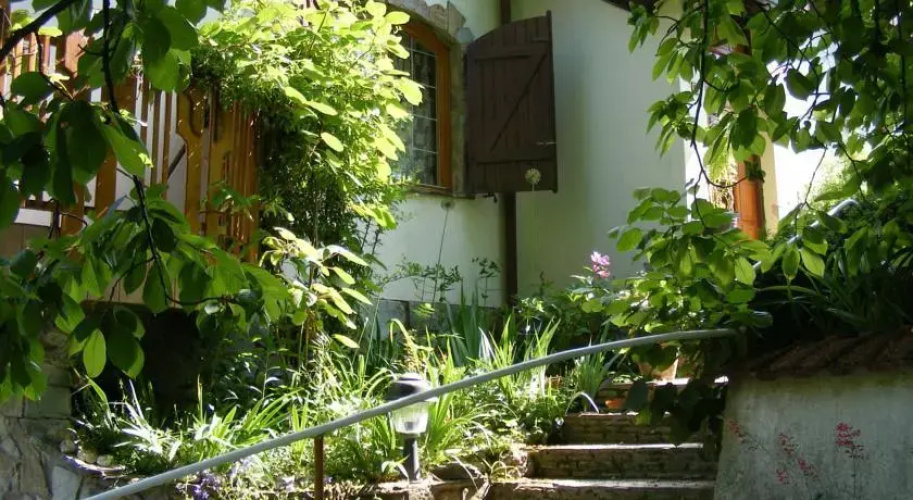 Panka House