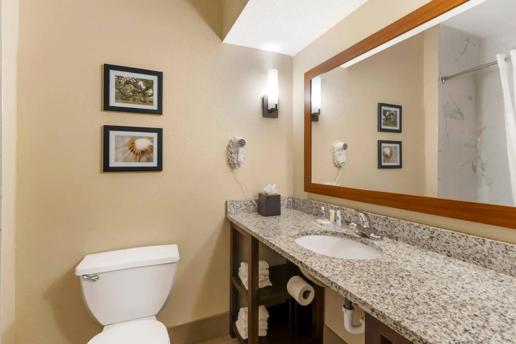 Quadruple Suite