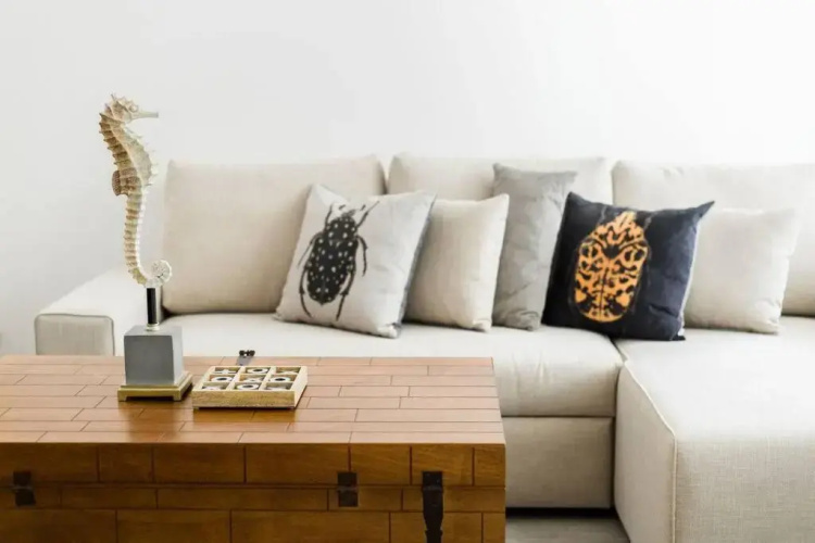 Neem 31 Comfortable, Luxury Apartment 10 min to the beach