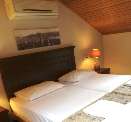 Economy Twin Basement room