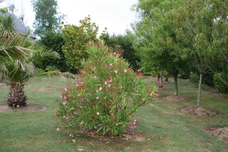 Logis De La Mare Du Parc