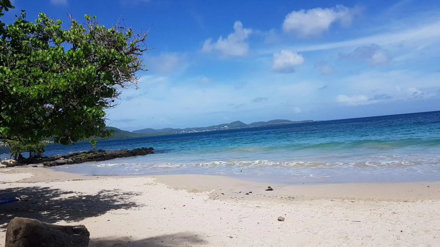 Roy'Al Beach Holidays