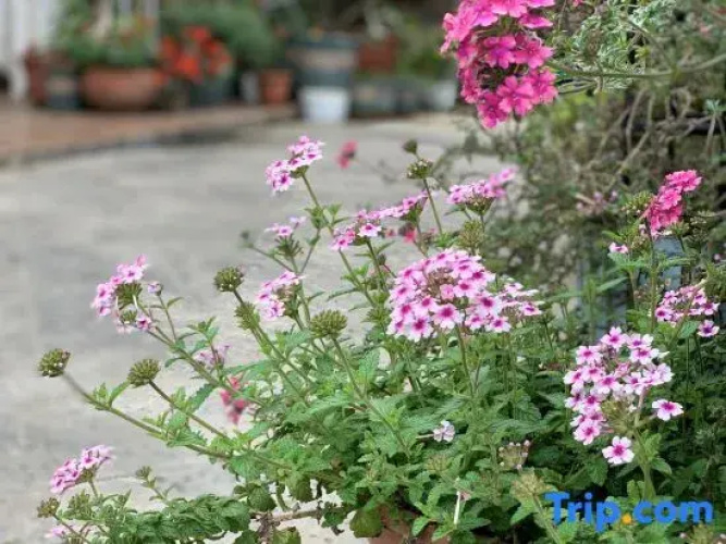 Yongding  Coffee Garden B&B