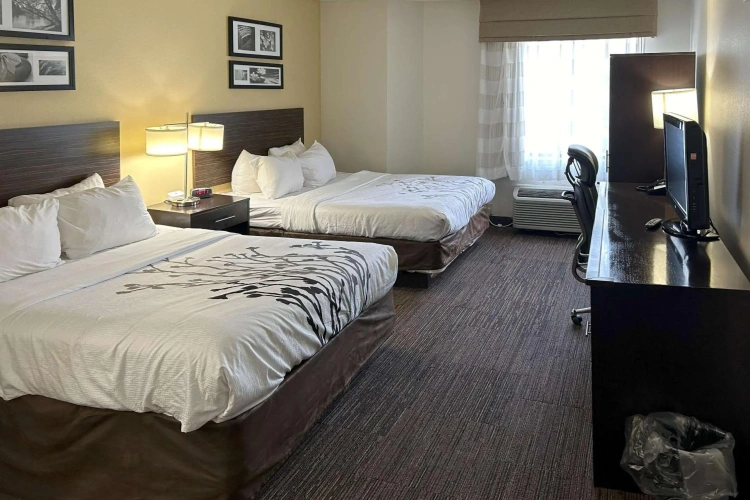 Toyoko Inn Fujieda Eki Kita-guchi