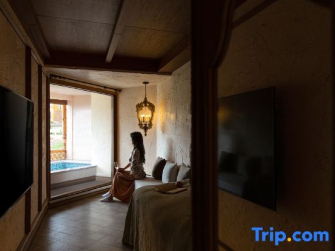 Standard Double room with lake view