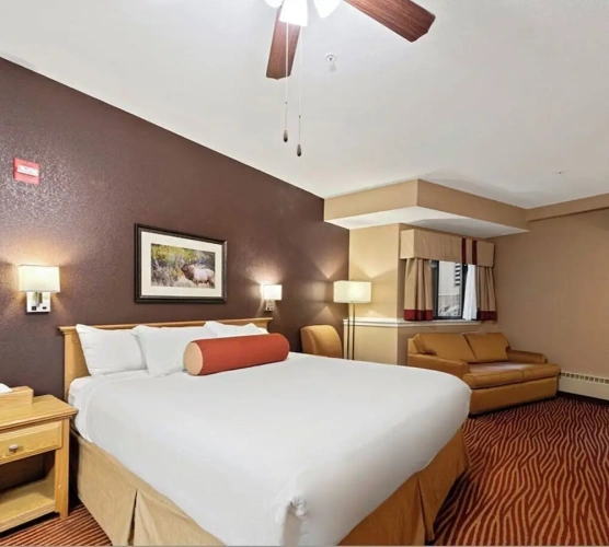 Standard Double Basement room