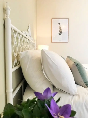 Quadruple Suite