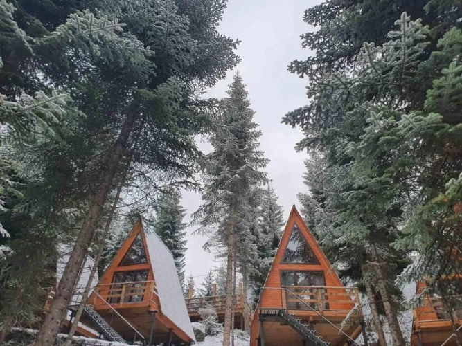 1 Bedroom Chalet