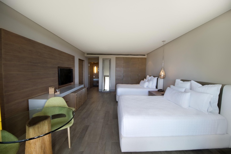 Deluxe Double room with balcony and with view
