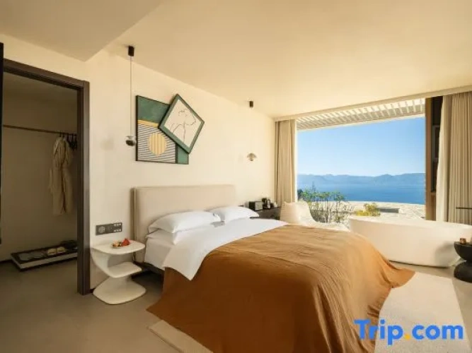 Premium Double room with lake view