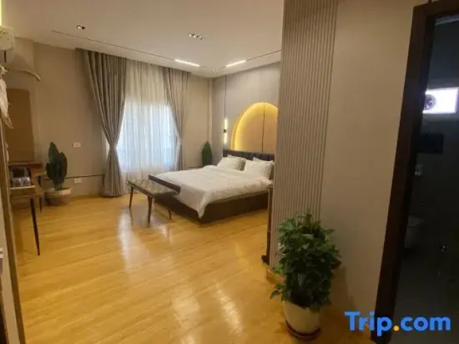 Luxury Suite