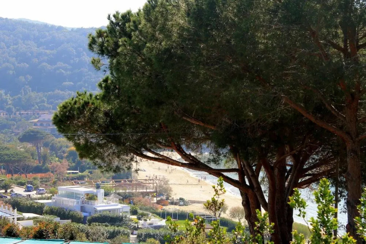 Scaglieri Mare
