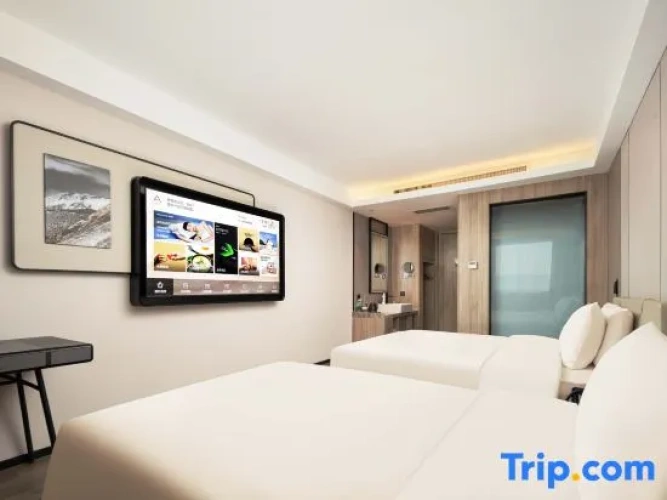 Executive Twin room