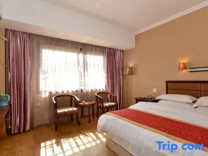 Single Suite