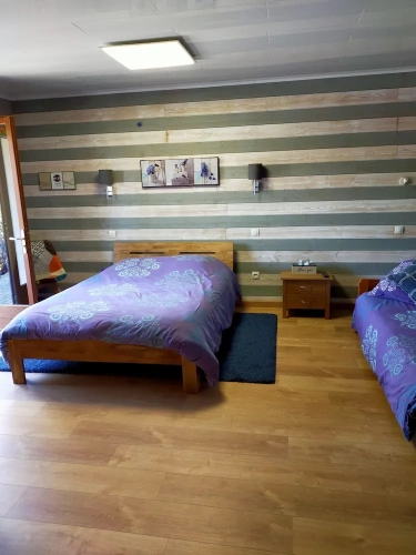 Standard Family room