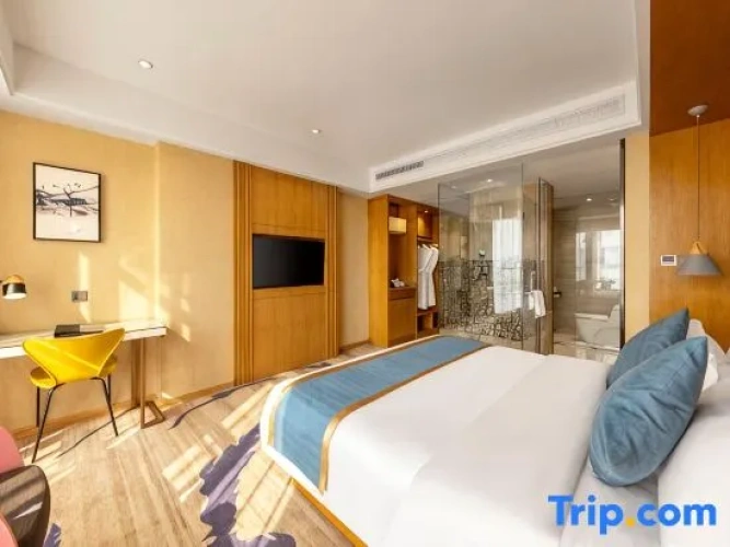 Premier Double room with city view