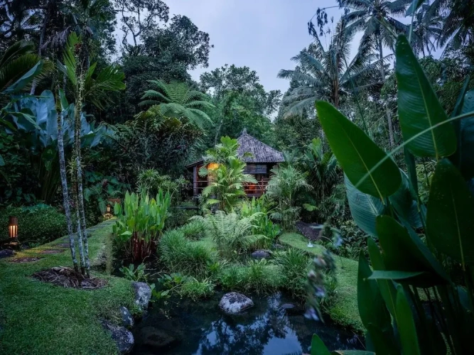 Premium Bungalow