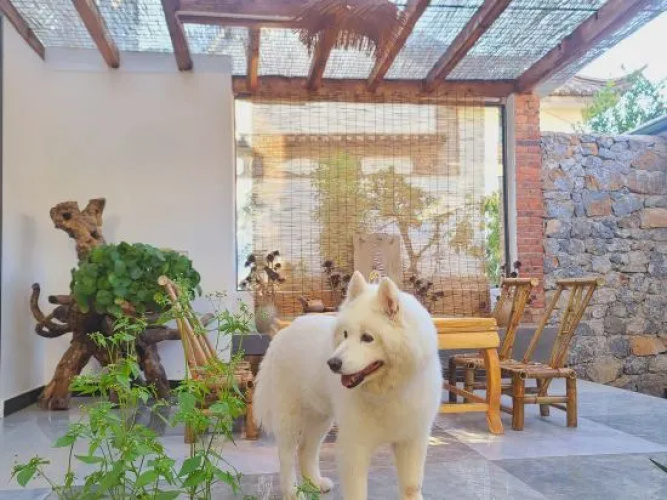 Dali Shuanglang Guichao Yiju Inn